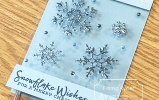 Acetate Snowflake